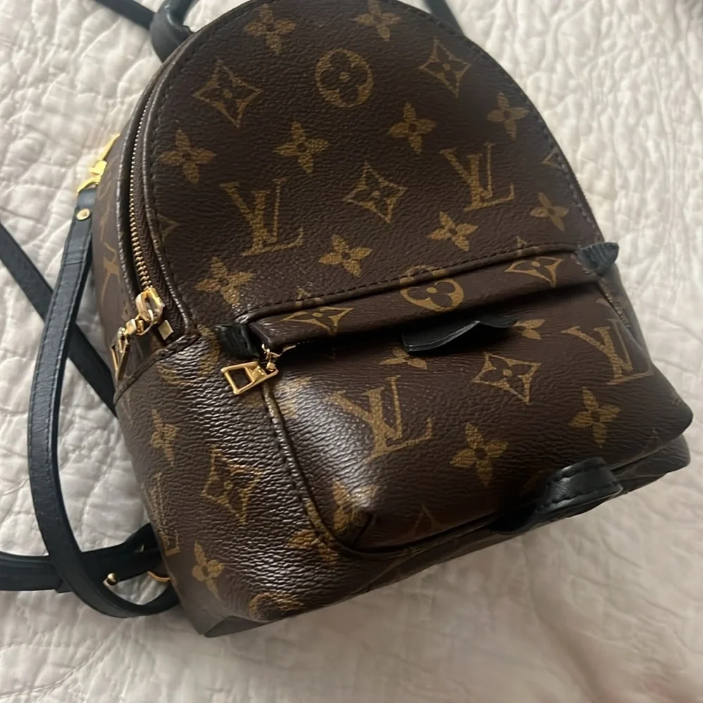 Louis Vuitton Palm Springs Mini